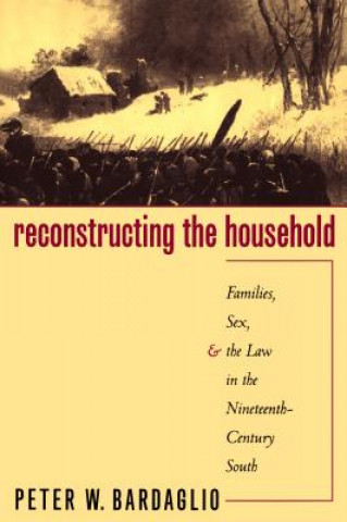 Könyv Reconstructing the Household Peter W. Bardaglio