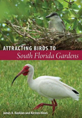 Knjiga Attracting Birds to South Florida Gardens Kirsten Hines