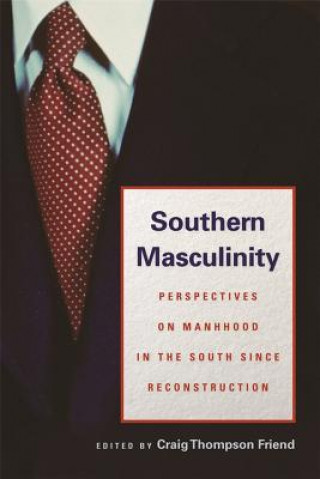 Kniha Southern Masculinity Benjamin Wise