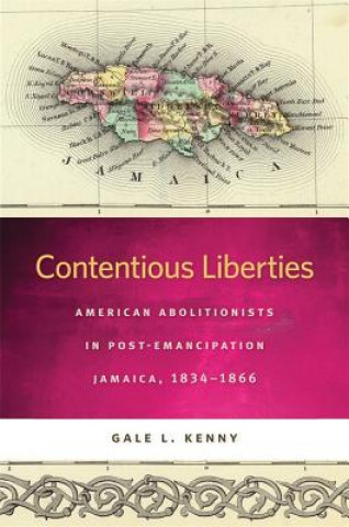 Kniha Contentious Liberties Gale L. Kenny