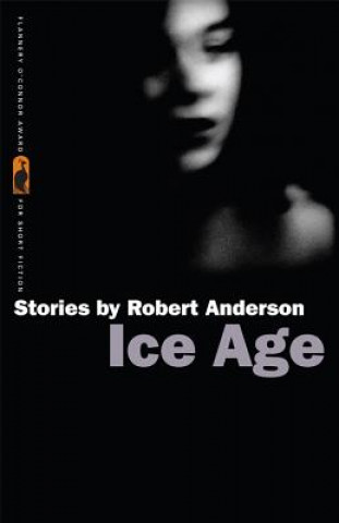 Kniha Ice Age Robert Anderson