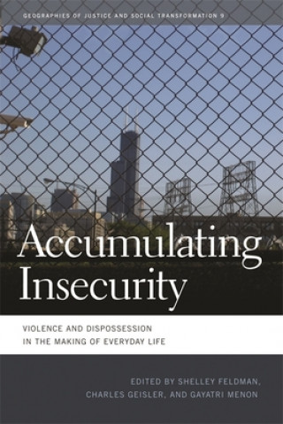 Knjiga Accumulating Insecurity Shelley Feldman