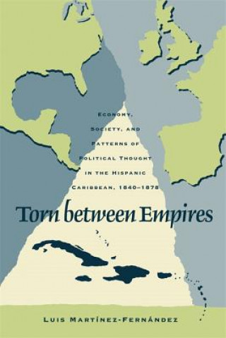 Βιβλίο Torn between Empires Luis Martinez-Fernandez