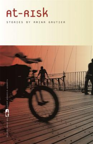 Boek At-Risk Amina Gautier