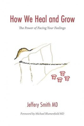 Könyv How We Heal and Grow Jeffery S. Smith