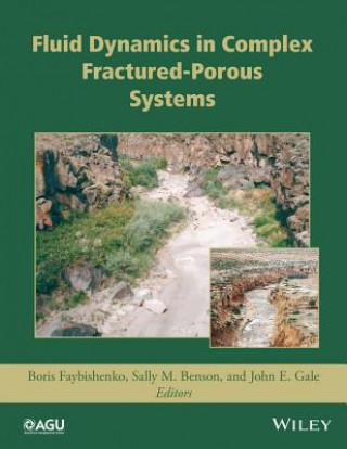 Libro Fluid Dynamics in Complex Fractured-Porous Systems Boris Faybishenko