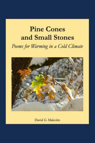 Kniha Pine Cones and Small Stones David (University of Gdansk) Malcolm