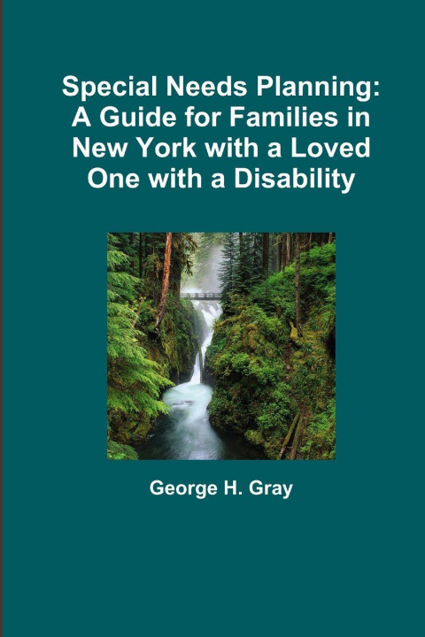 Kniha Special Needs Planning George Gray