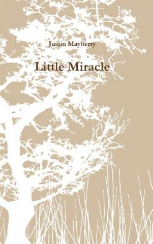 Buch Little Miracle Justin Mayberry