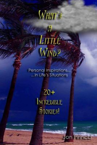 Книга What's A Little Wind? Jon Pirincci