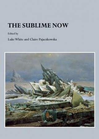 Book Sublime Now Claire Pajaczkowska