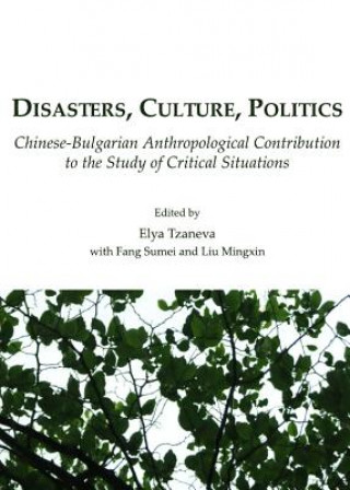 Könyv Disasters, Culture, Politics 