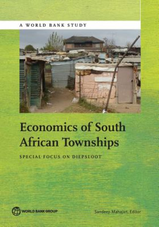 Buch Economics of South African townships 