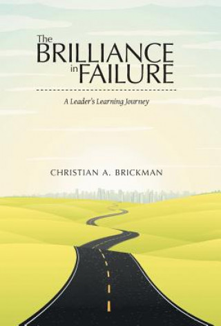 Carte Brilliance in Failure Christian A. Brickman