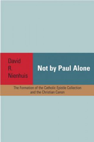 Kniha Not By Paul Alone David R. Nienhuis