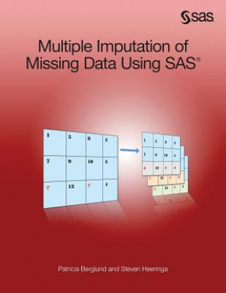 Kniha Multiple Imputation of Missing Data Using SAS Steven G. Heeringa