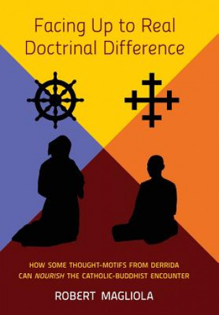 Boek Facing Up to Real Doctrinal Difference Robert Magliola
