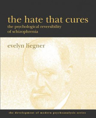 Könyv Hate That Cures Evelyn Liegner