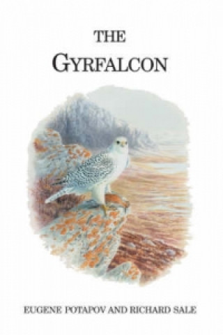 Kniha Gyrfalcon Eugene Potapov