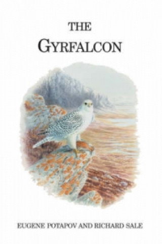 Książka Gyrfalcon Eugene Potapov