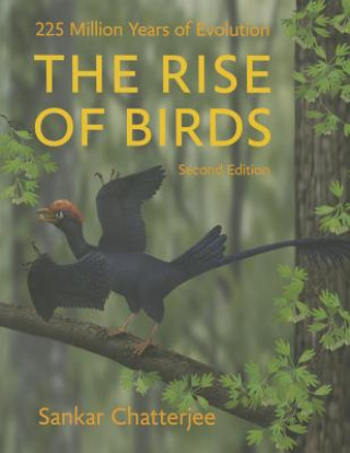 Kniha Rise of Birds Sankar Chatterjee