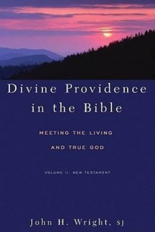 Kniha Divine Providence in the Bible John H. Wright