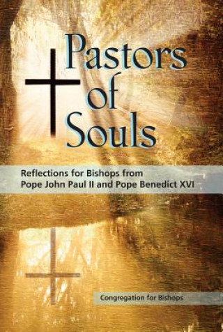 Book Pastors of Souls Congregation for Bishops