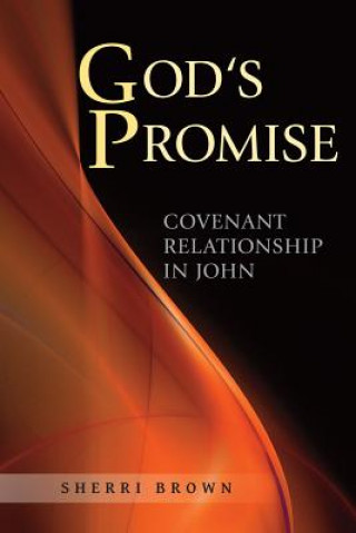 Kniha God's Promise Sherri Brown