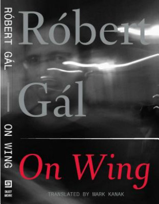 Kniha On Wing Róbert Gál