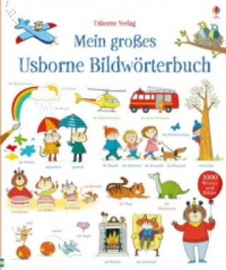 Kniha Mein großes Usborne Bildwörterbuch Mairi Mackinnon