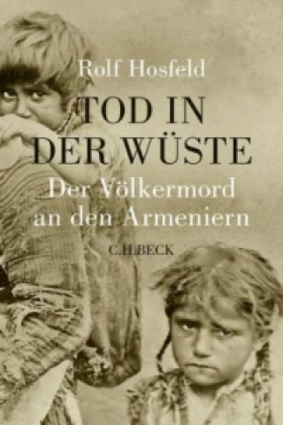 Kniha Tod in der Wüste Rolf Hosfeld