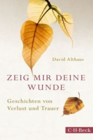 Книга Zeig mir deine Wunde David Althaus