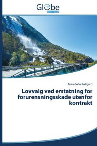Kniha Lovvalg ved erstatning for forurensningsskade utenfor kontrakt Rolfsjord Anne-Sofie