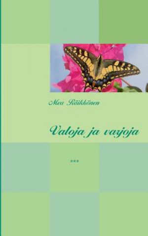 Kniha Valoja ja varjoja Mea Raikkonen