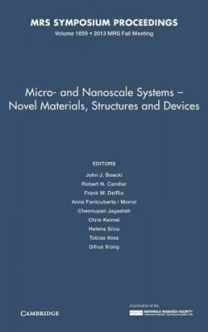 Książka Micro and Nanoscale Systems: Volume 1659 John J. Boeckl