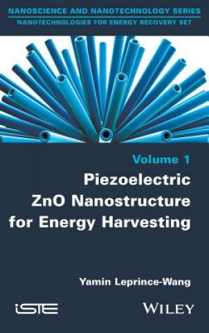 Könyv Piezoelectric ZnO Nanostructure for Energy Harvesting Yamin Leprince-Wang