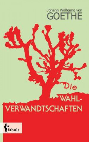 Buch Wahlverwandtschaften Johann Wolfgang Goethe