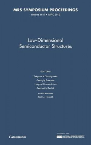 Book Low-Dimensional Semiconductor Structures: Volume 1617 Tetyana V. Torchynska