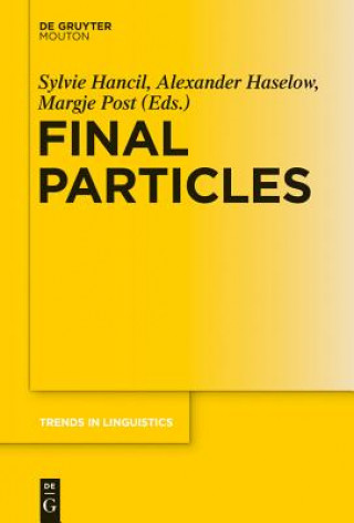 Knjiga Final Particles Sylvie Hancil