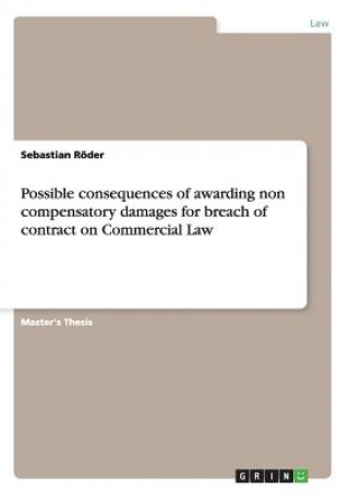 Könyv Possible consequences of awarding non compensatory damages for breach of contract on Commercial Law Sebastian Roder