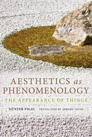 Kniha Aesthetics as Phenomenology Günter Figal