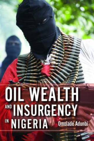Книга Oil Wealth and Insurgency in Nigeria Omolade Adunbi