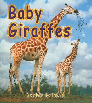 Książka Baby Giraffes Bobbie Kalman