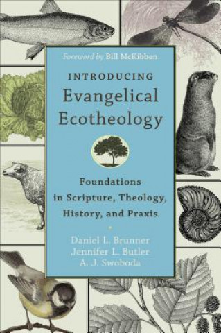 Könyv Introducing Evangelical Ecotheology - Foundations in Scripture, Theology, History, and Praxis Daniel L Brunner