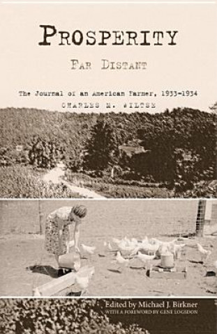 Knjiga Prosperity Far Distant Charles M. Wiltse