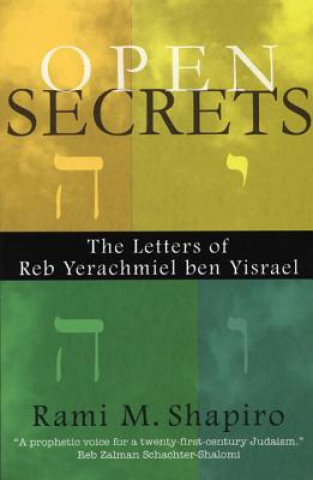 Книга Open Secrets Rami M. Shapiro