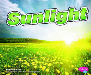 Książka Sunlight Erin Edison