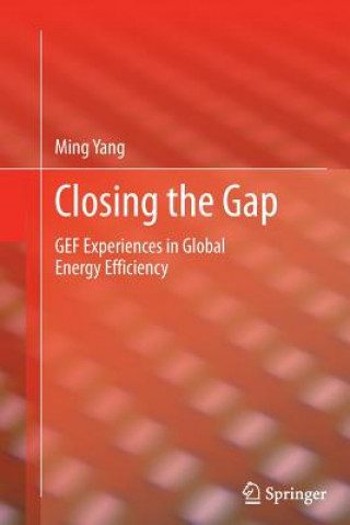 Kniha Closing the Gap Ming Yang