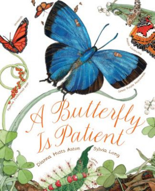 Knjiga Butterfly Is Patient Dianna Aston