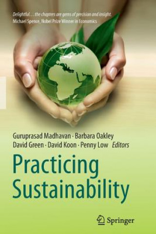 Könyv Practicing Sustainability David Green